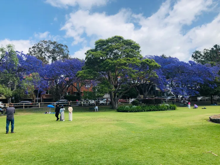 初次見面聊天的公園 （Allie 攝於悉尼）