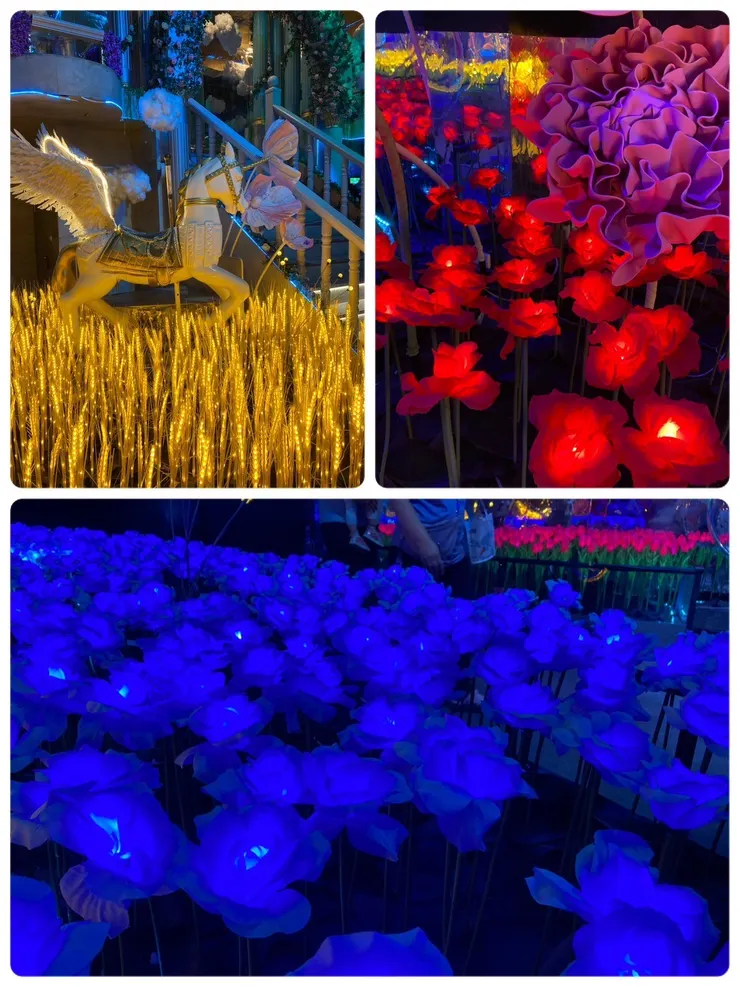 很夢幻的燈光玫瑰花跟稻穗