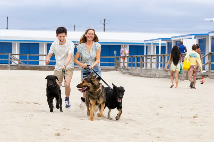 色誘無效的Maddie配合Percy的興趣進行約會，過程中逐漸生出友情