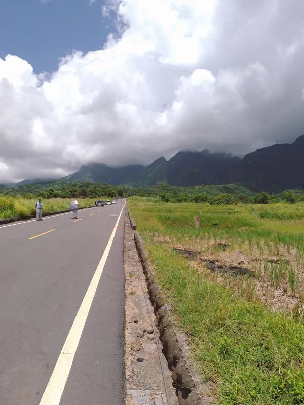 金剛大道一面是山，一面是海，很像縮小版的伯朗大道，雖然沒有稻浪，但一樣很好拍，人潮也比較少。