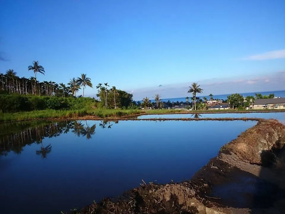 安東泥的活水森林