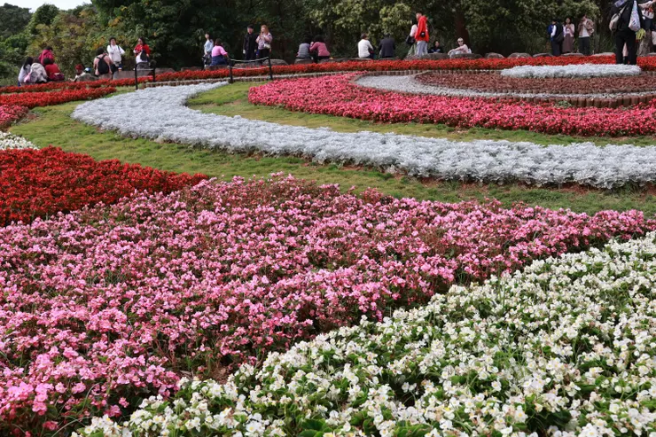 花海造景