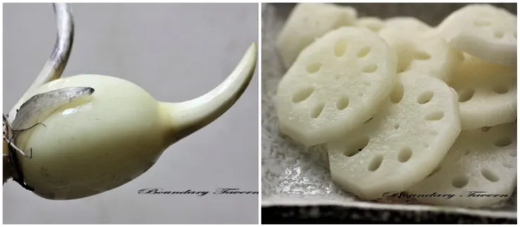 最鮮嫩的藕頭 如梨般鮮脆，又被稱為果藕