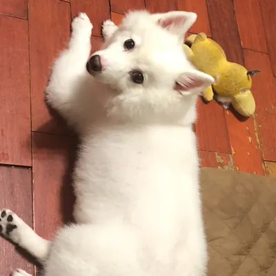 音樂不聽了，用看的！的沙龍