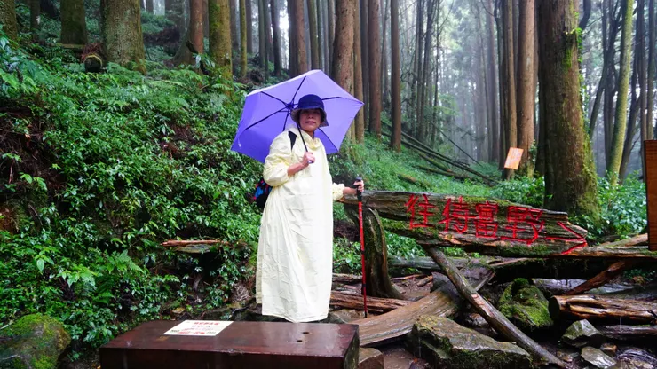 午後雷雨;甚是惱人