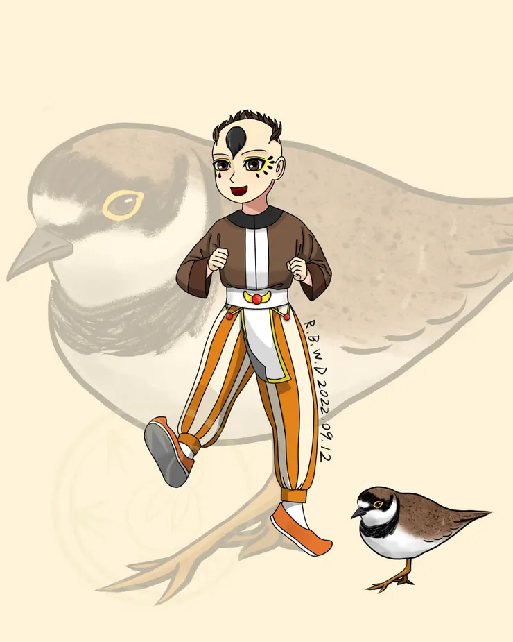 小環頸鴴 2022.09