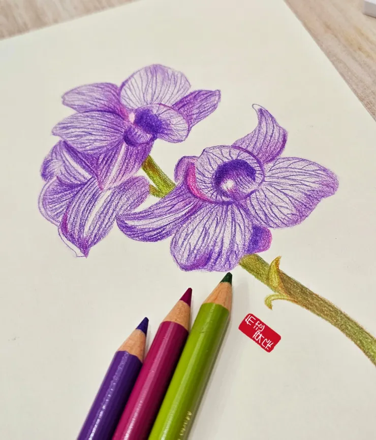 圖。文／布恣芽朵