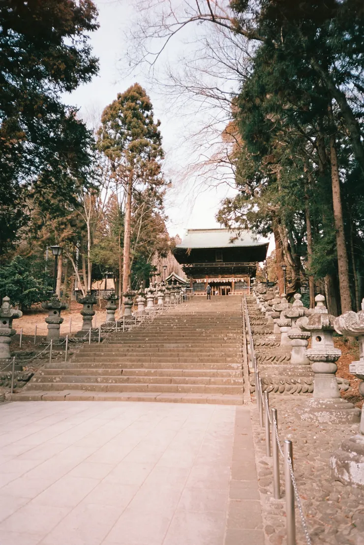 Nikon AF600 - RETO Maple100