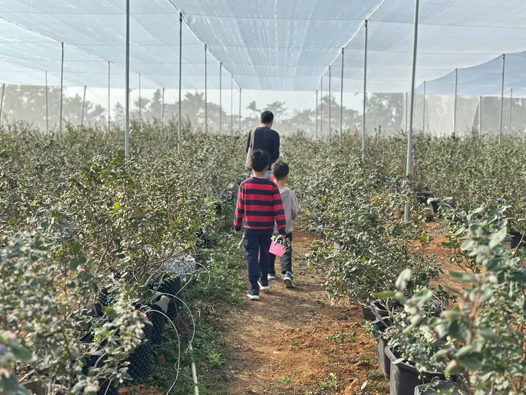 現場果園環境，腹地很大，也算好走乾淨