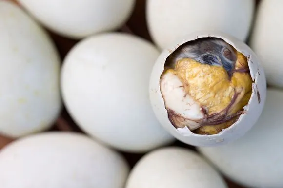 Balut