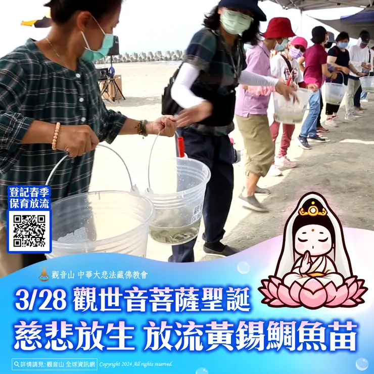 3月28日 觀世音菩薩聖誕慈悲放生 觀音山放流黃錫鯛魚苗