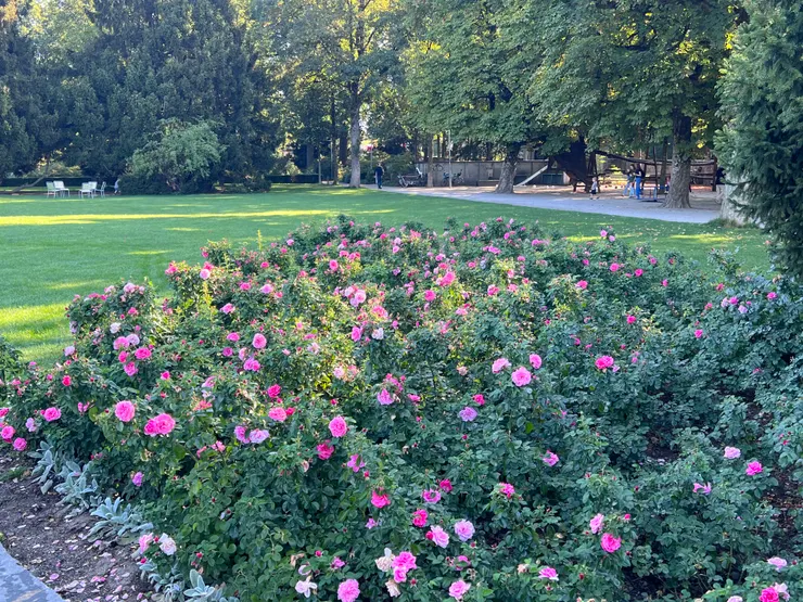 可以想像六月百花盛開的美麗