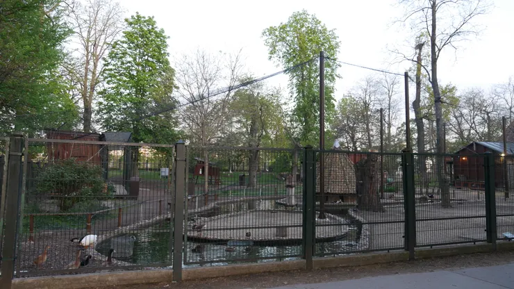 島上還有一個小小動物園