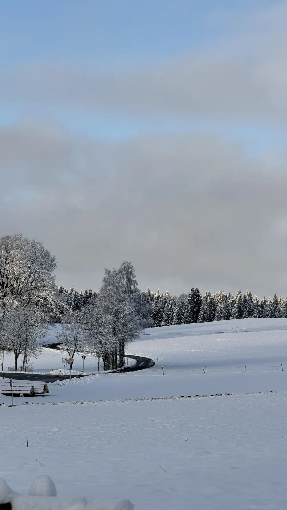 小小白的分享小天地
