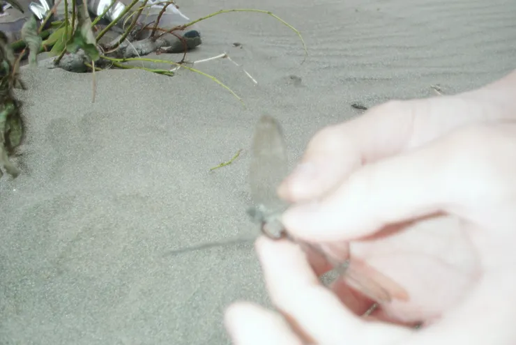 《登月指南》電影劇照/劇照提供:林文傑