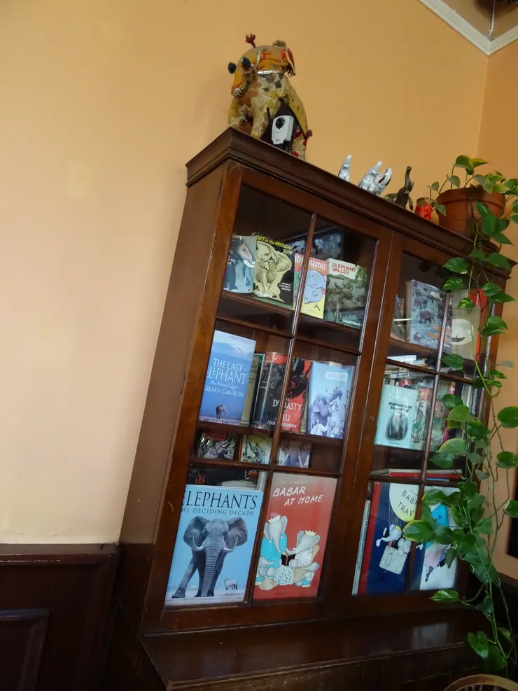 看來老闆喜歡大象,收集了與大象有關的書與畫