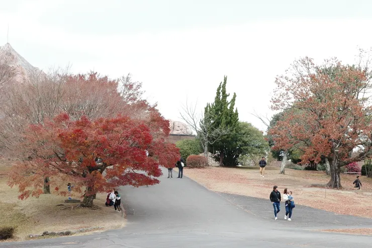 這邊真的很美，也有很多日本家庭帶著小孩一起來