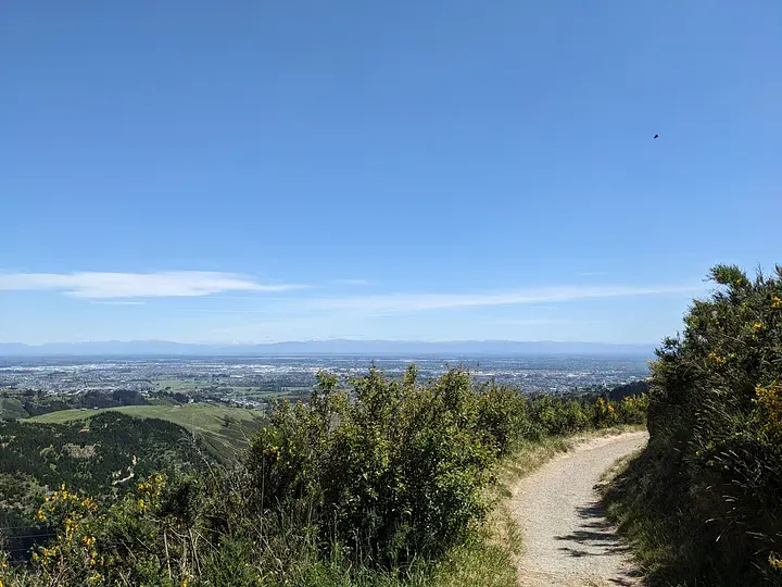 Victoria Park_Harry Ell Track