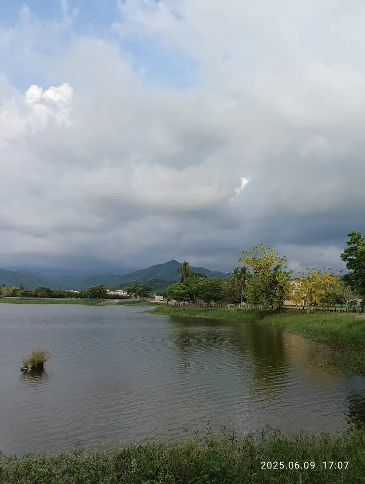 岸草堆青雲浸湖