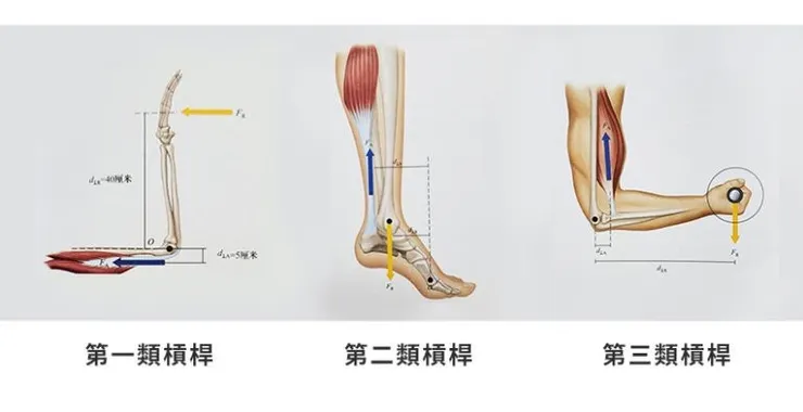 圖片來源: 網路