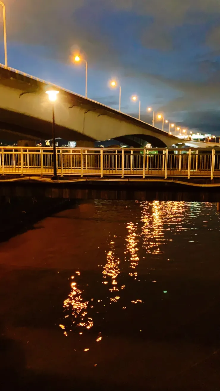 水裡藏了個印象派畫家2