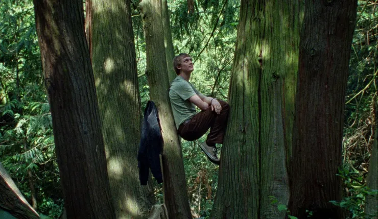 《你是不會當樹嗎》電影劇照／劇照提供：海鵬影業