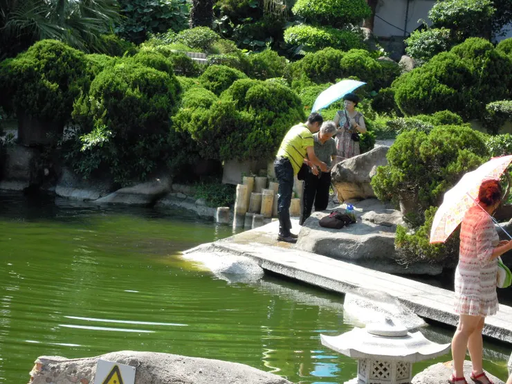 不小心摔進水池裡的遊客