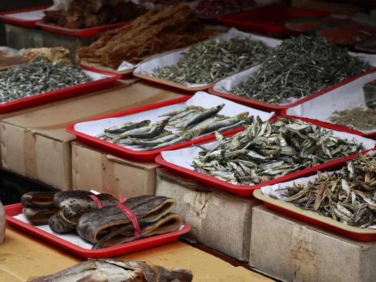 想記得那種海洋的氣味。