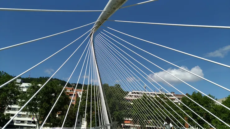 橋上方曲線鋼管連接了白色的鋼索