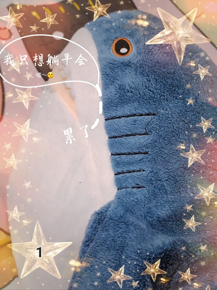 圖。文／布恣芽朵