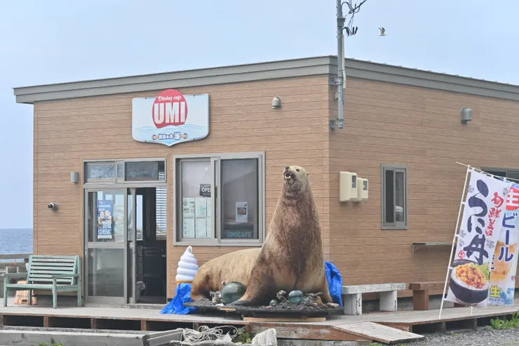 店家前的海獅標本，真的好大一隻/攝影:NANA濕婦
