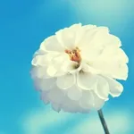 ansfori的沙龍