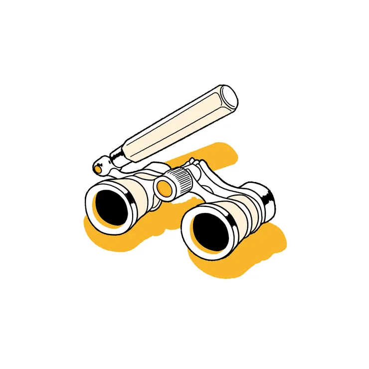 1005 我的BINOCULARS