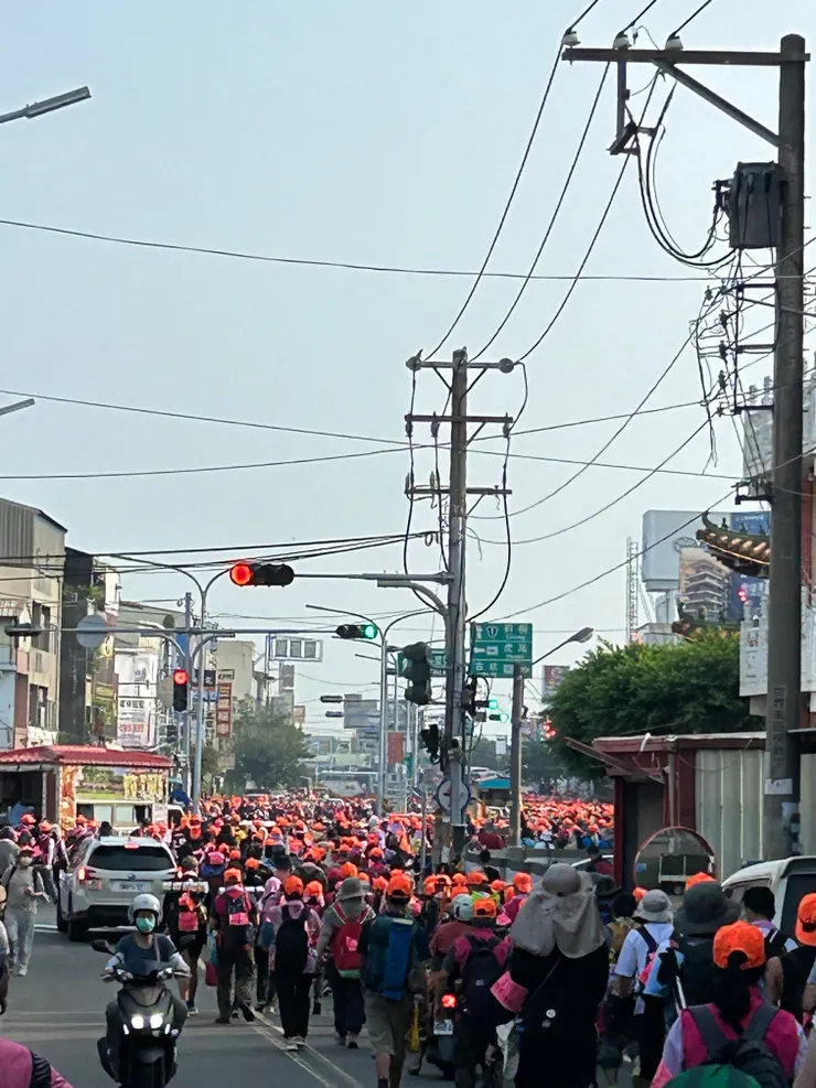 驚人的粉橘色大軍~~