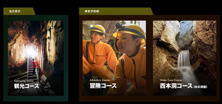 照片取自龍河洞官網。