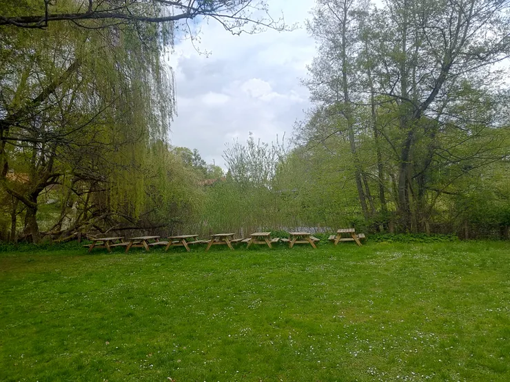 綠意盎然的園區