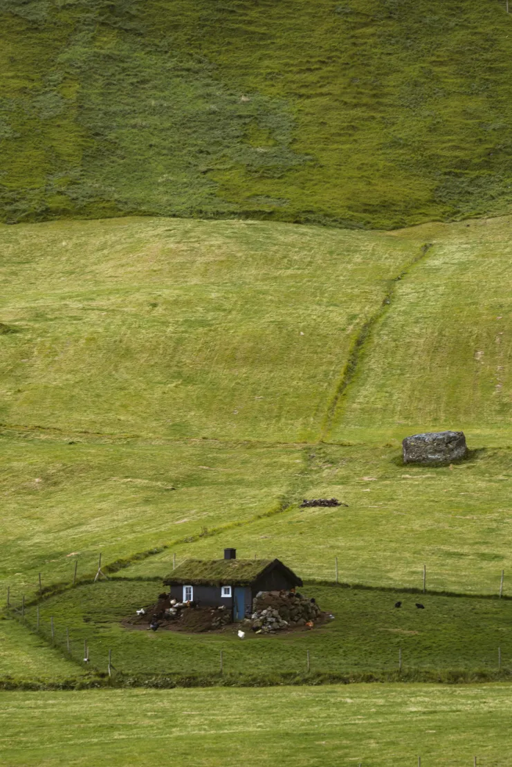 2026 丙午年，對於己土人來說，是一場久違的暖陽。