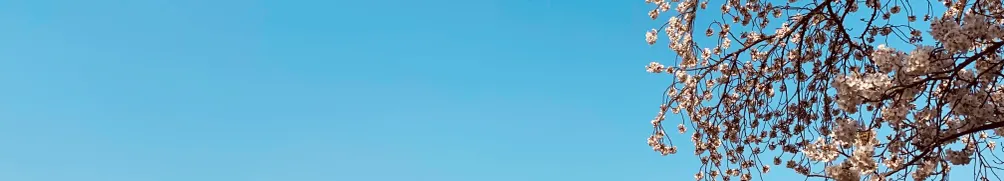 遠藤啾弟的沙龍