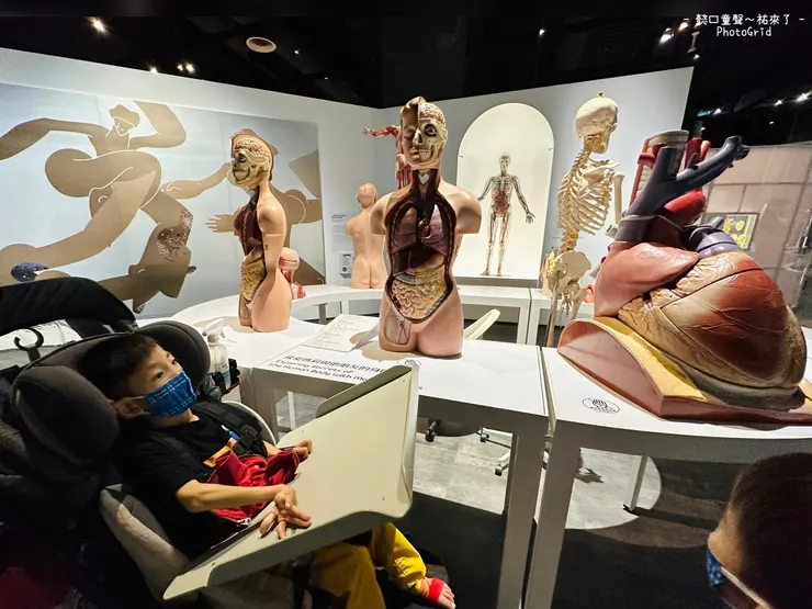 大家要乖乖的,這一區動眼不動手喔。真的蠻多大人沒有看標示就拆解起來了。