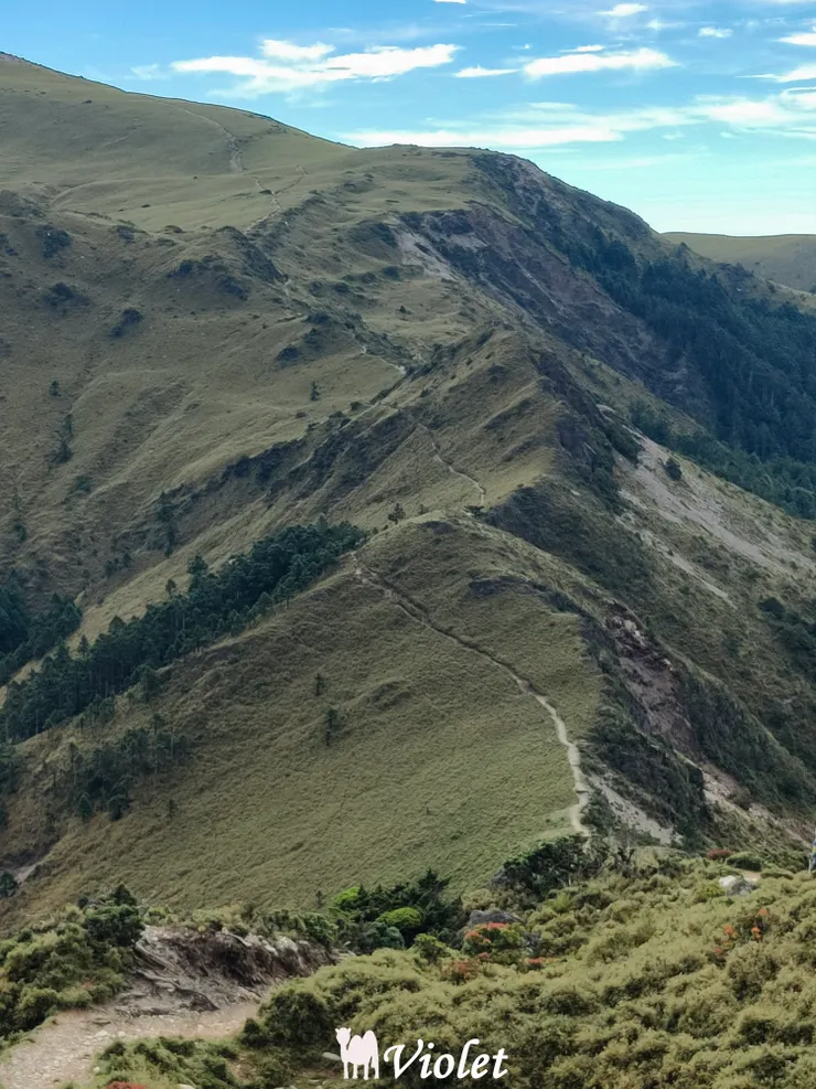 嘉明湖步道稜線