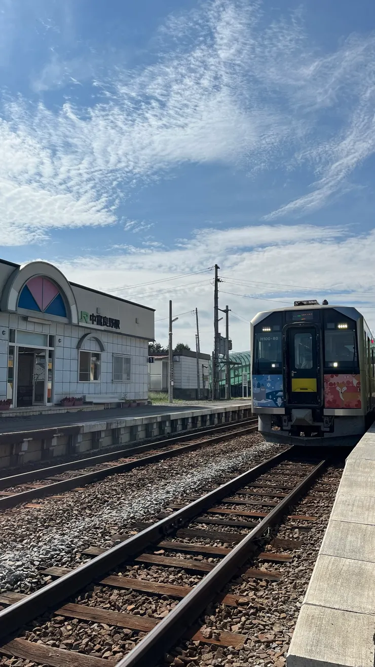 在不算特殊列車的狀況下，中富良野算是離富田農場最近的車站。