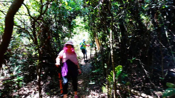 走在密林~懷疑人生~我們走錯了嗎?