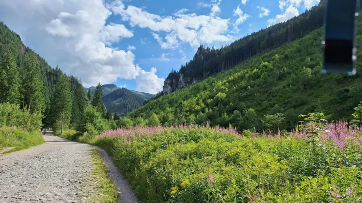 Dolina Chochołowska 的路寬敞