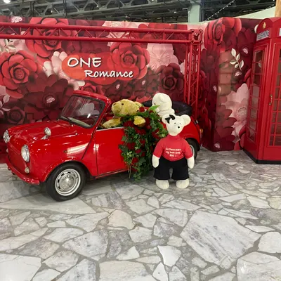 去配夾（YoYo）的沙龍