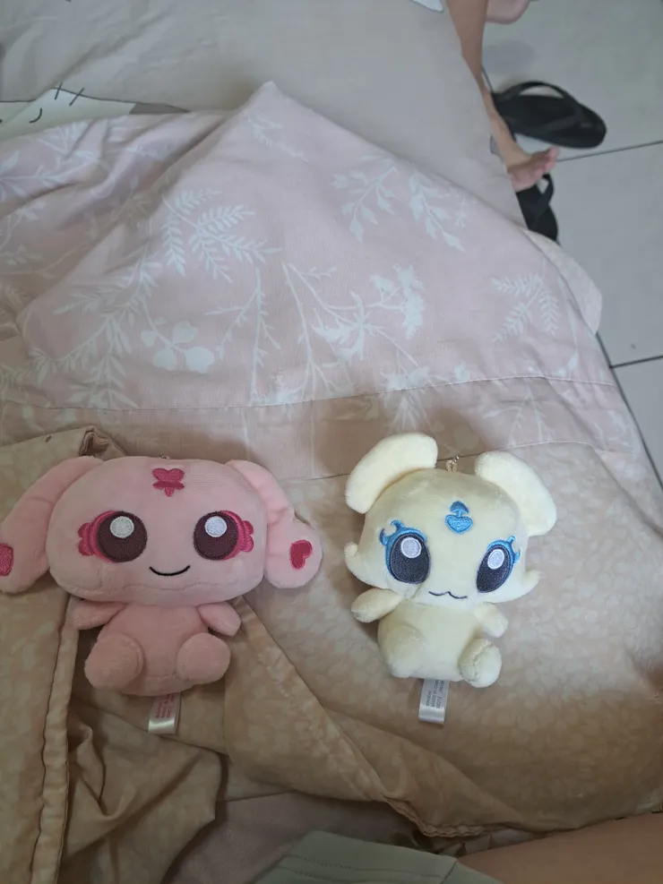 左邊是米波，右邊是美波