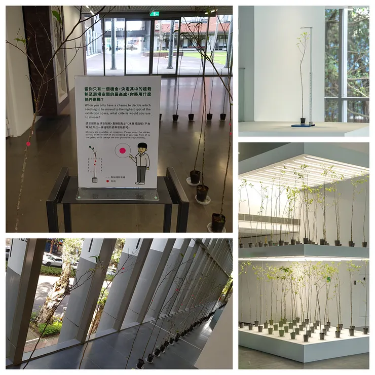 〈直立優勢性〉的空間延續。攝影:UX.Debugger、ELLE。