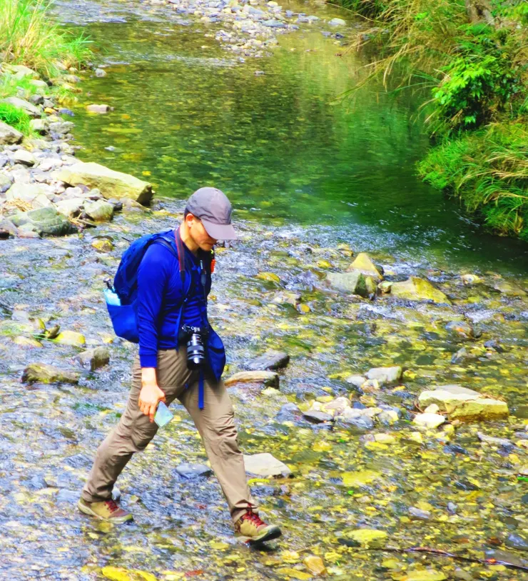 跨越馬達拉溪的木橋，橋下溪水清澈