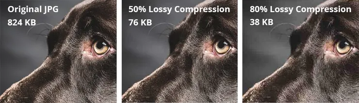 為了節省空間,Lossy Compression 演算法會捨棄一部分數據,僅保留能「還原成原始樣貌」的核心資訊。來源:Andrea Fassina