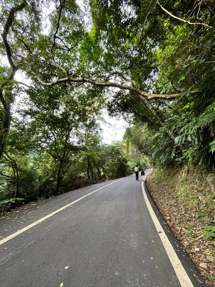 不知為啥變成山路之旅。