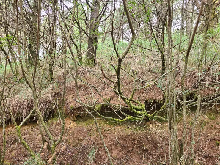 尋找突破口，上切離開道路